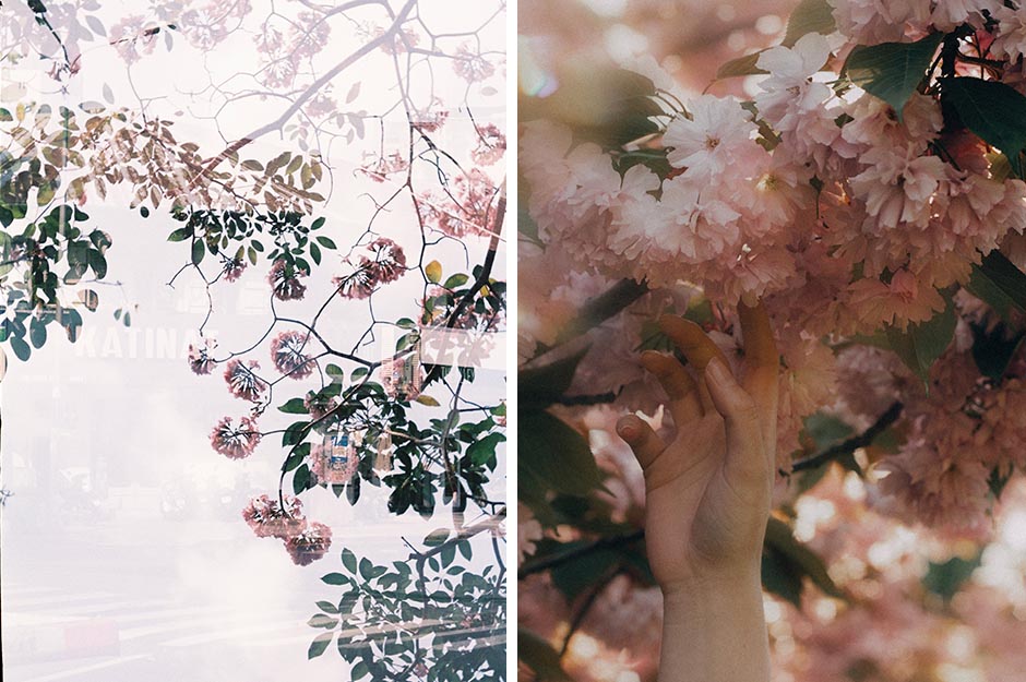 petal