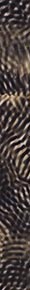 YQJ002