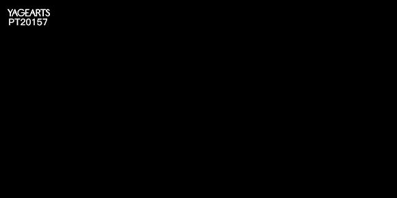PT20157